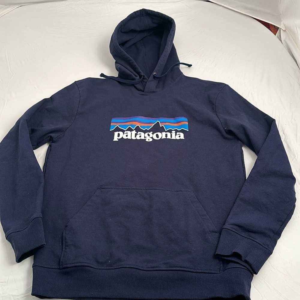 Patagonia Fitz Roy Uprisal Hoody navy blue multicolor logo regular fit